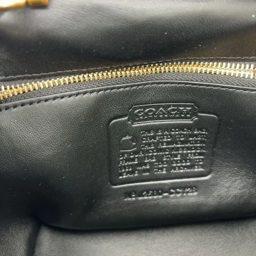 Coach Black Leather Mini Frame Bag with Gold Hardware